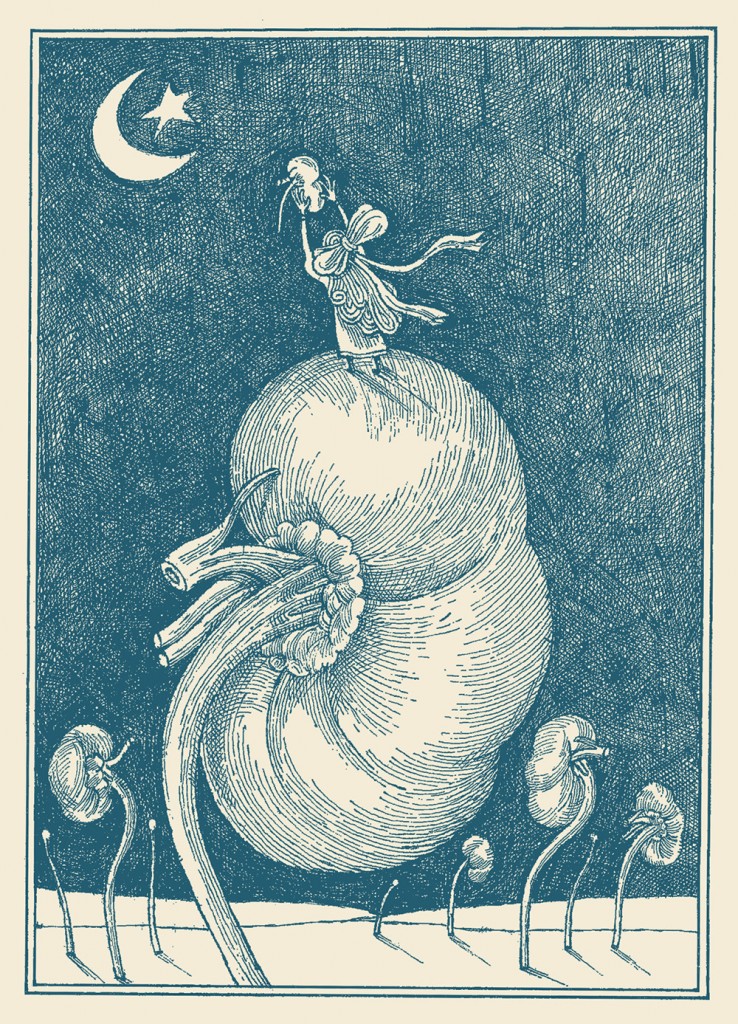 maeisam-mousaci-roozrang (1)