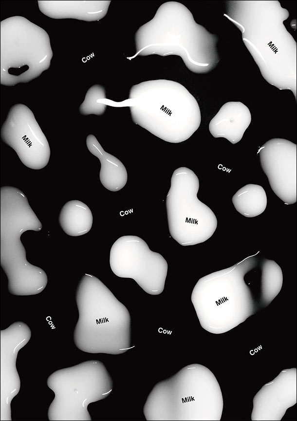 پوستر-پراگ-روزرنگ (7)