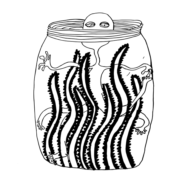 تصویرسازی آزاد-روزرنگ (17)