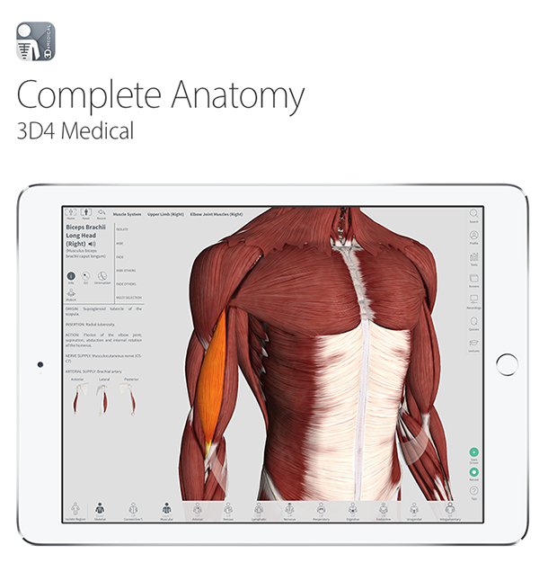 Screen Shot 2016-06-14 at 10.59.13 AM