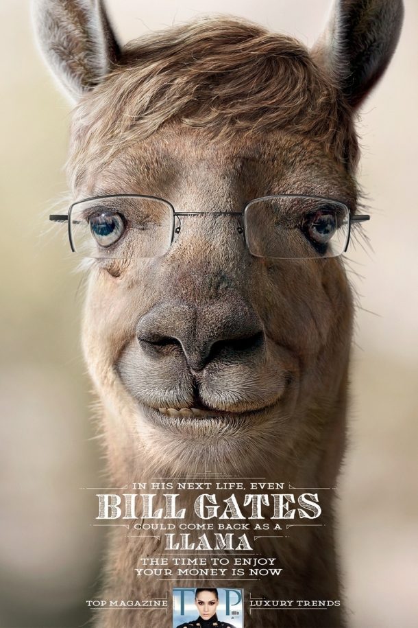 111243-bill-gates-llama-meme-reincarn-kcpw