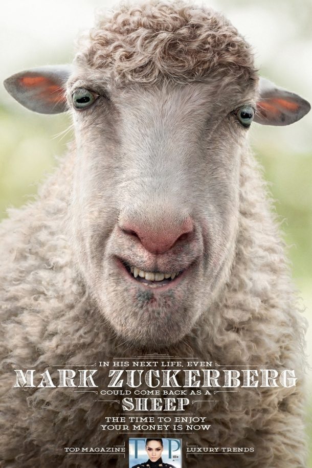 111243-mark-zuckerberg-sheep-meme-rei-upww