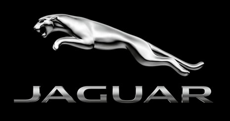 animal-iconic-brand-names3