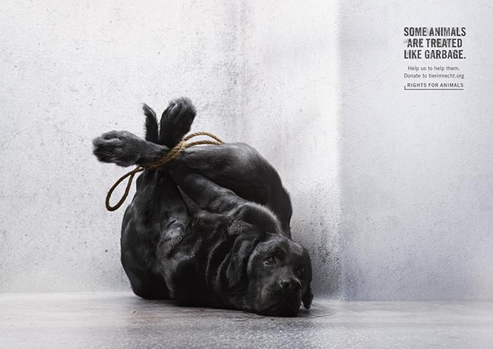 tir-animals-like-garbage-01_aotw_0