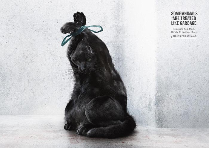 tir-animals-like-garbage-02_aotw
